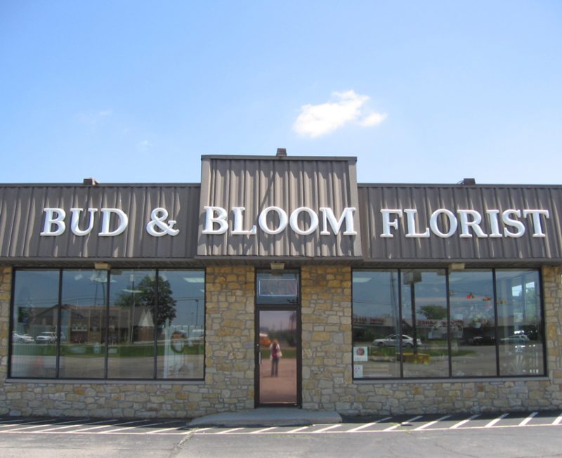 Portfolio - First Class Window